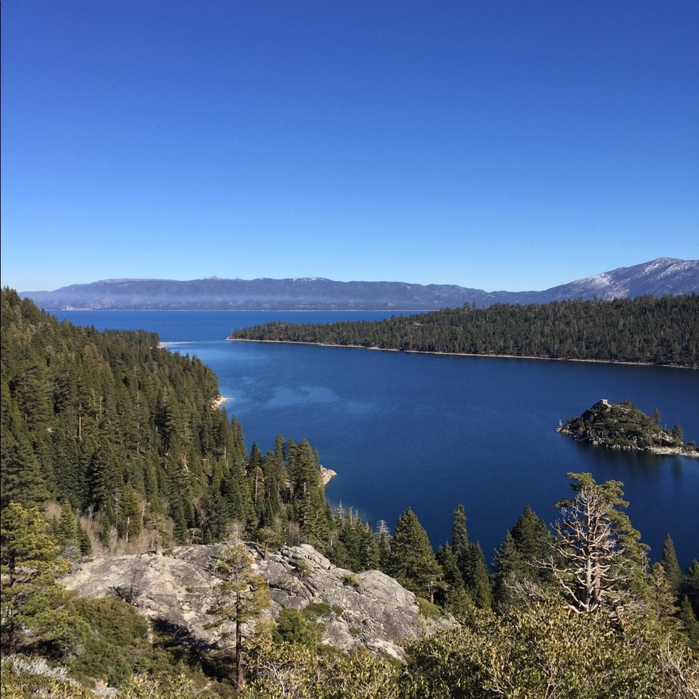 Meet your Posher, Ronda